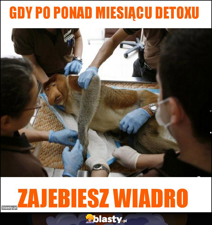 Gdy po ponad miesiącu detoxu