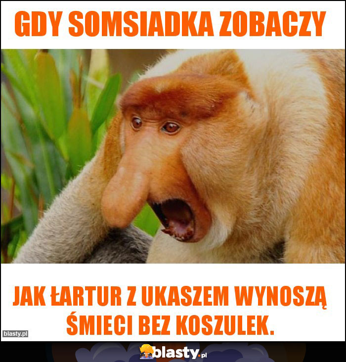 Gdy somsiadka zobaczy