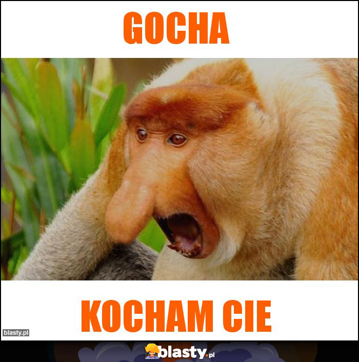 Gocha