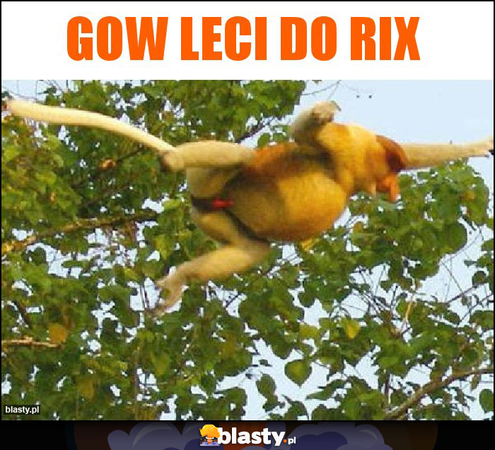 GOW leci do RIX