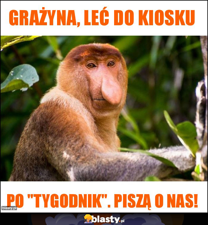 Grażyna, leć do kiosku