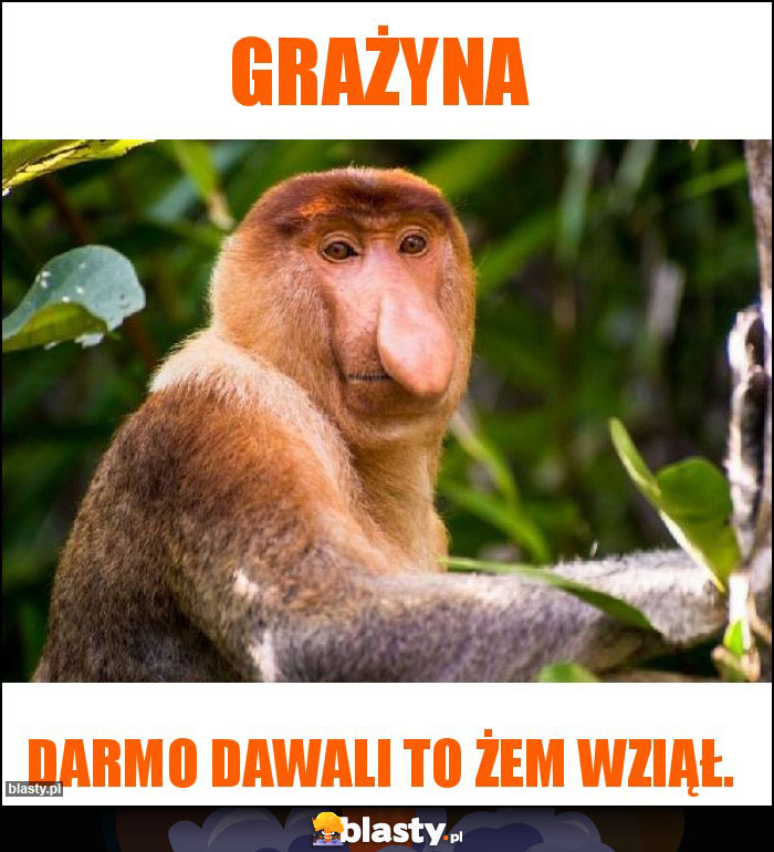 Grażyna