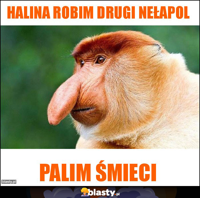 Halina robim drugi Nełapol