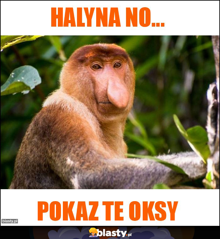 halyna no...