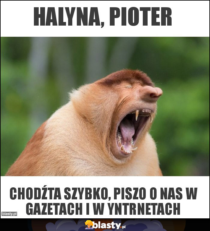 Halyna, pioter