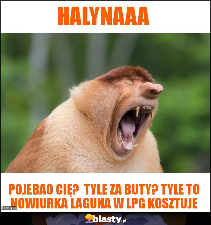 Halynaaa