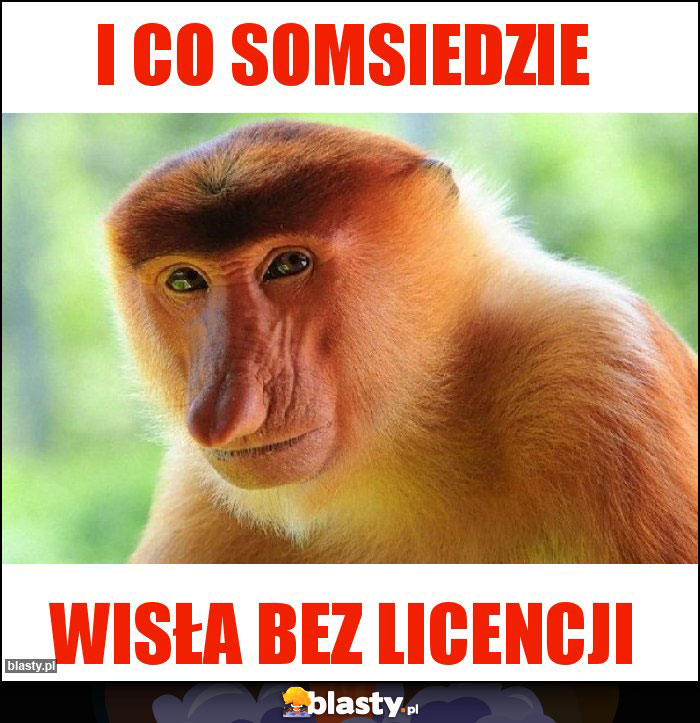 I co somsiedzie