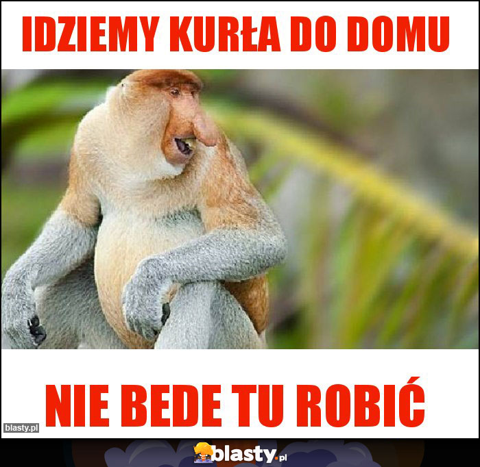 Idziemy kurła do domu