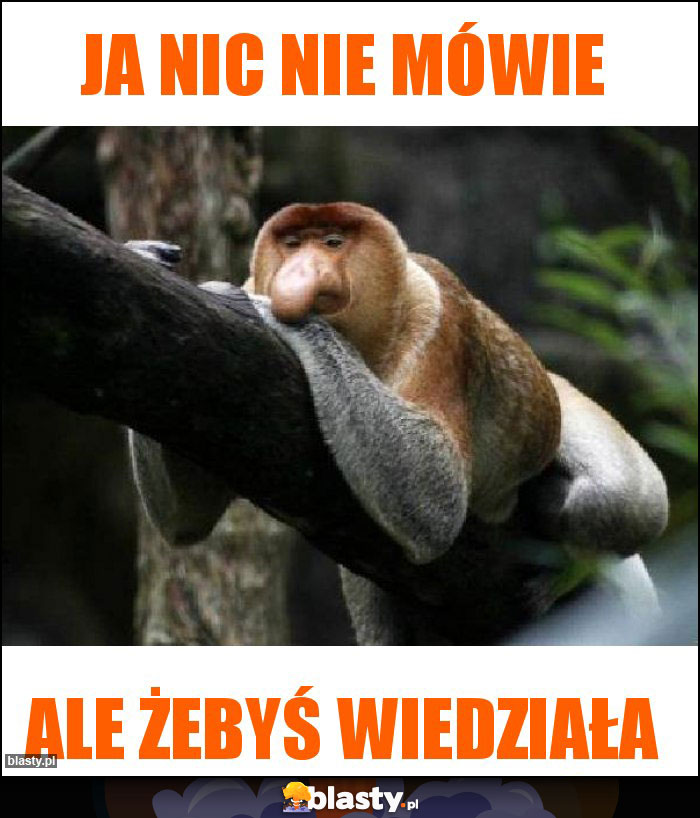 Ja nic nie mówie