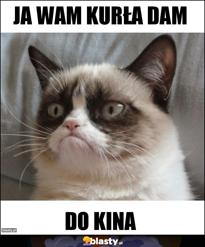 Ja wam kurła dam