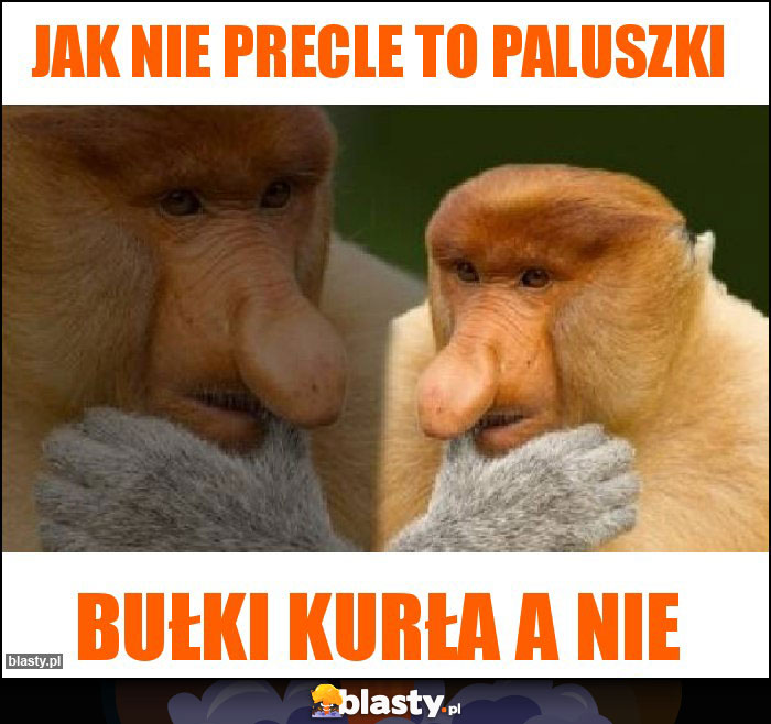 Jak nie precle to paluszki