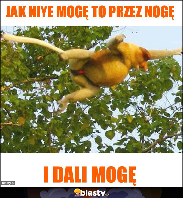 Jak niye mogę to przez nogę