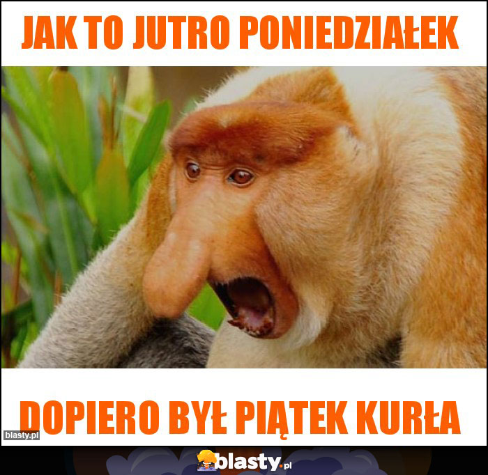 JAK TO JUTRO PONIEDZIAŁEK