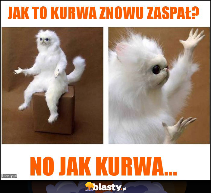 Jak to kurwa znowu zaspał?