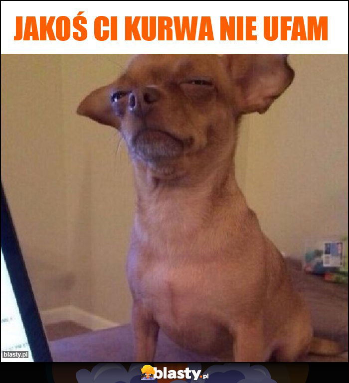 Jakoś Ci kurwa nie ufam