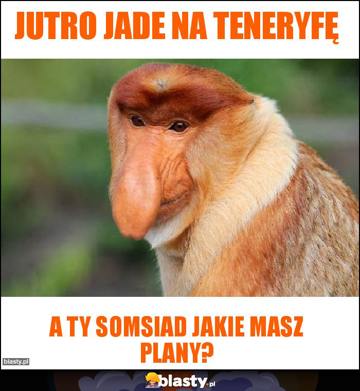 Jutro jade na Teneryfę