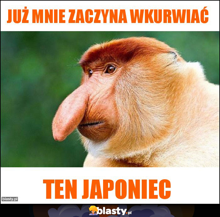 Już mnie zaczyna wkurwiać