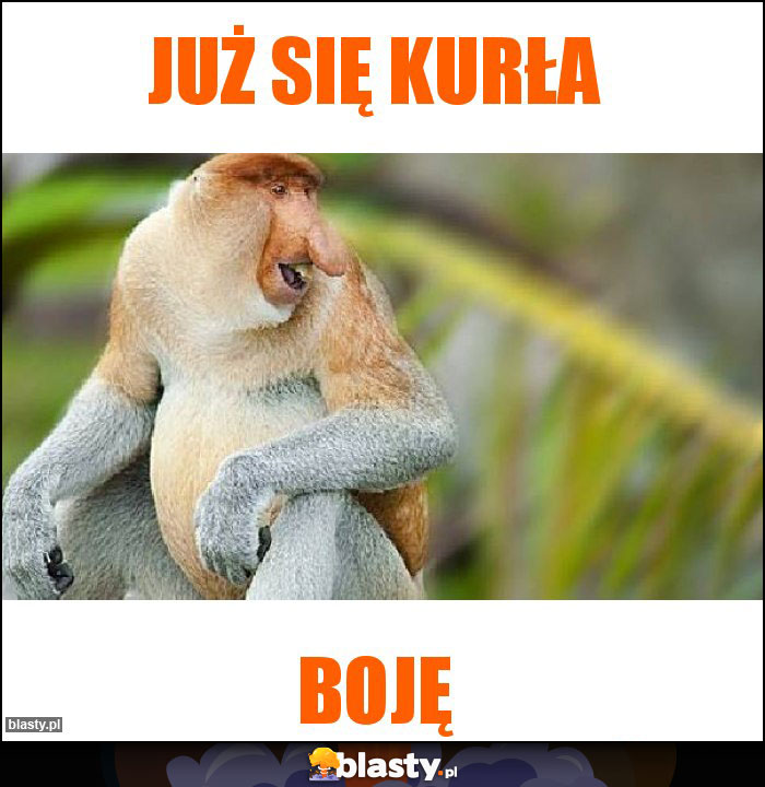 Już się kurłA