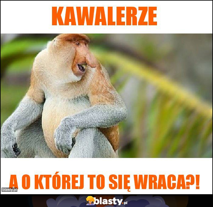 Kawalerze