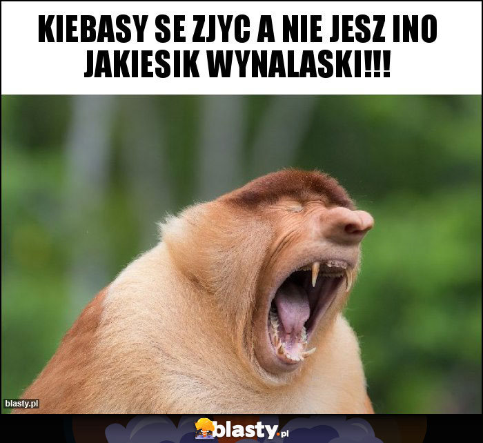 Kiebasy se zjyc a nie jesz ino jakiesik wynalaski!!!