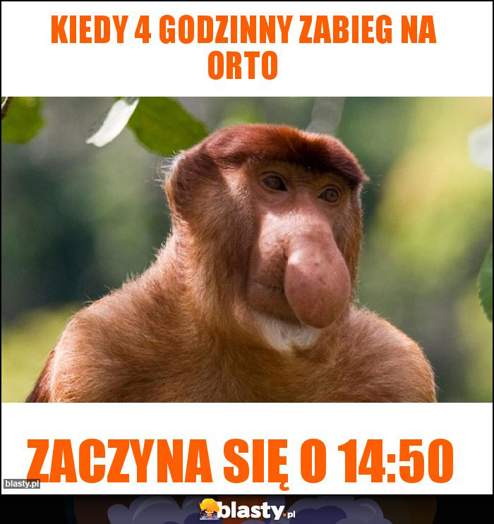 Kiedy 4 godzinny zabieg na orto