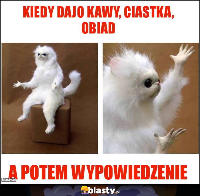 Kiedy dajo kawy, ciastka, obiad