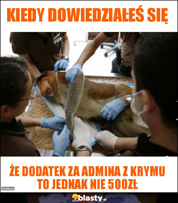 Kiedy dowiedziałeś się