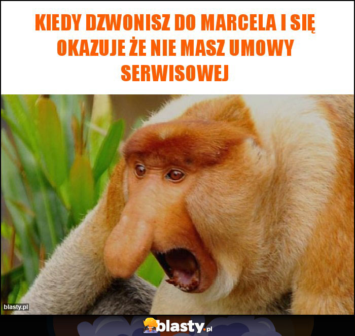 Kiedy dzwonisz do Marcela i się okazuje że nie masz umowy serwisowej