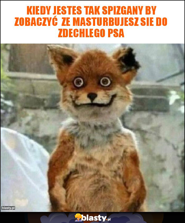 Kiedy jestes tak spizgany by zobaczyć  ze masturbujesz sie do zdechlego psa