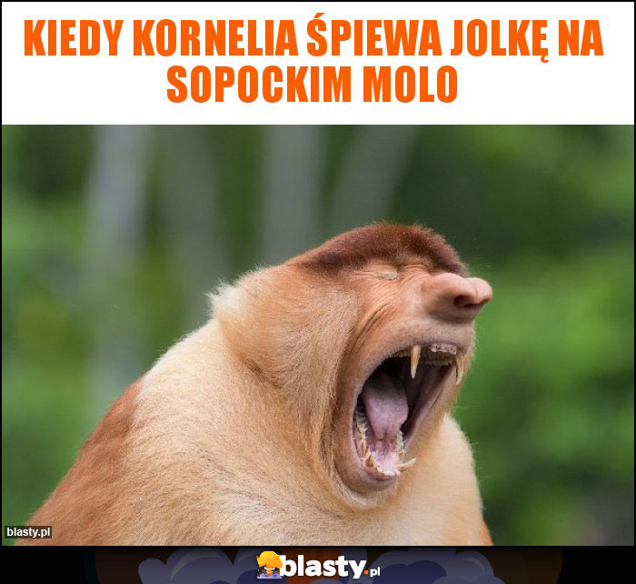 Kiedy Kornelia śpiewa Jolkę na Sopockim Molo