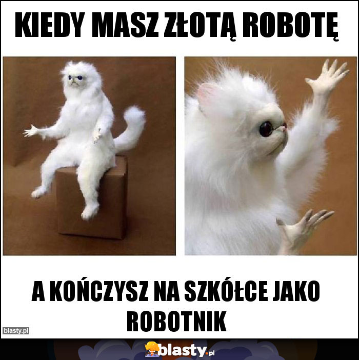 Kiedy masz złotą robotę