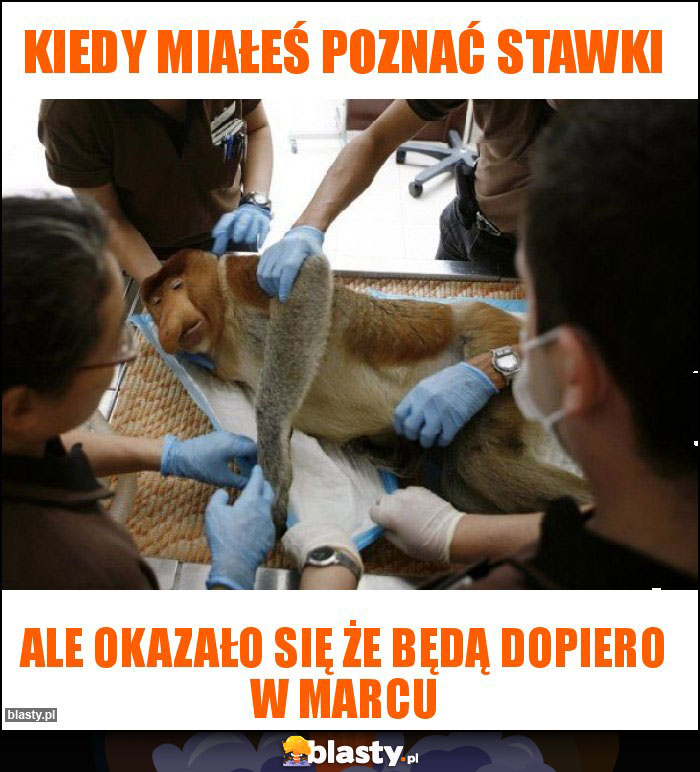 kiedy miałeś poznać stawki