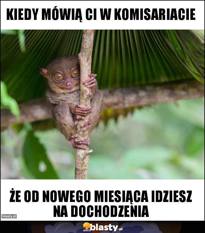 Kiedy mówią ci w komisariacie