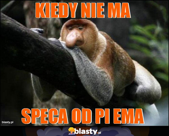 kiedy nie ma