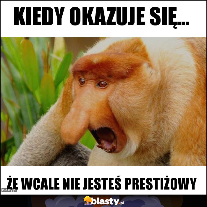 Kiedy okazuje SIĘ...