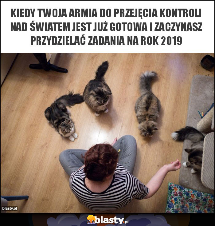 kiedy twoja armia do przejęcia kontroli nad światem jest już gotowa i zaczynasz przydzielać zadania na rok 2019