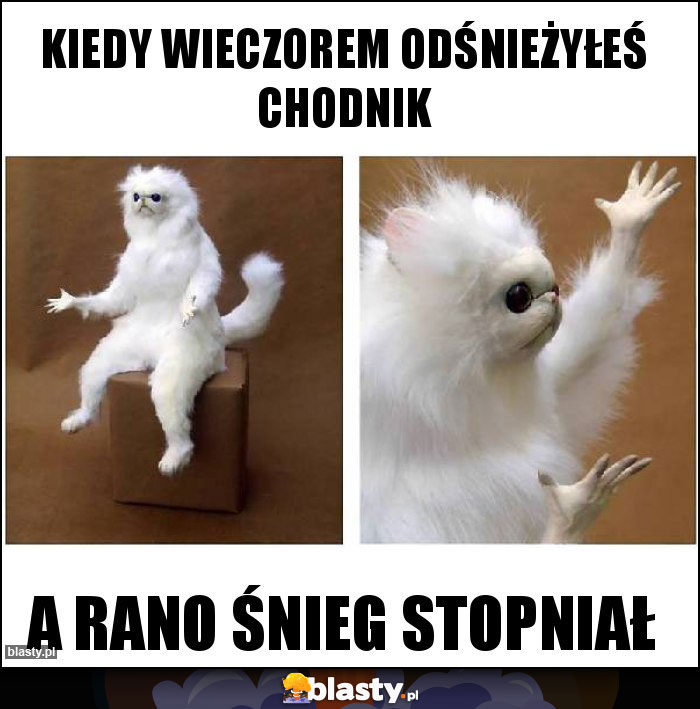 Kiedy wieczorem odśnieżyłeś chodnik