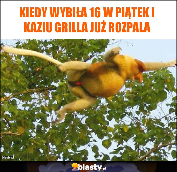 Kiedy wybiła 16 w piątek i Kaziu grilla już rozpala