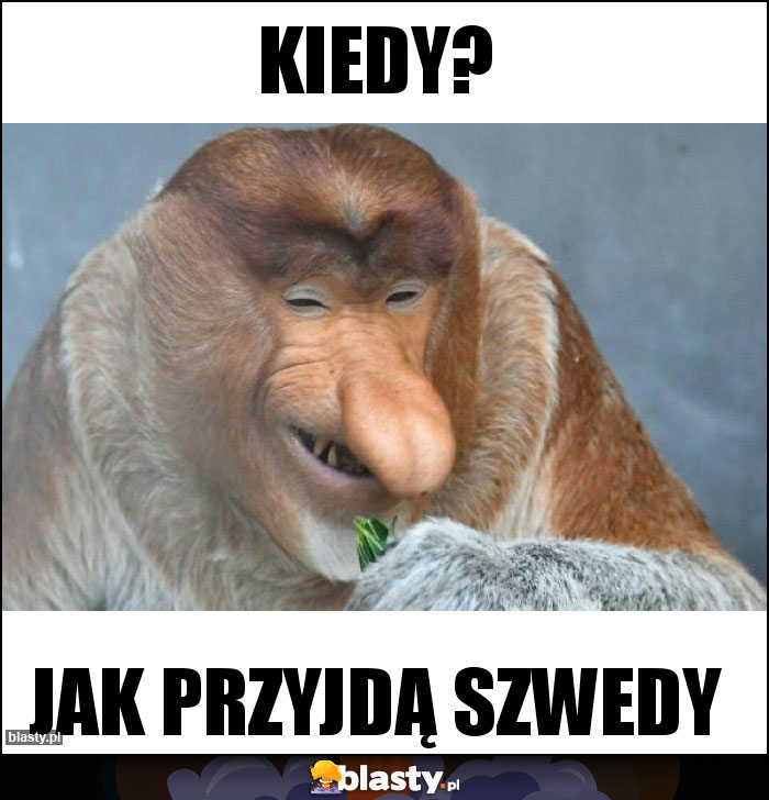 KIEDY?