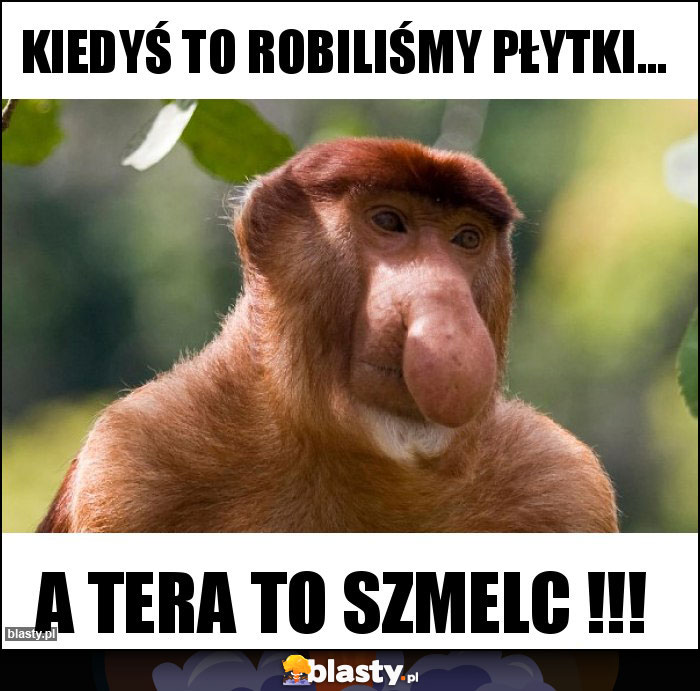 kiedyś to robiliśmy płytki...