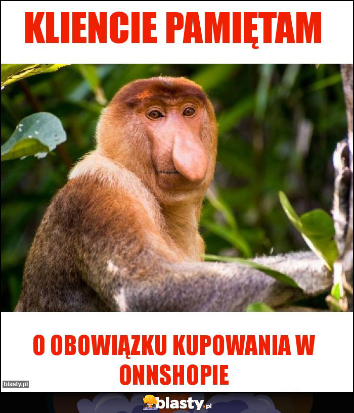 Kliencie pamiętam