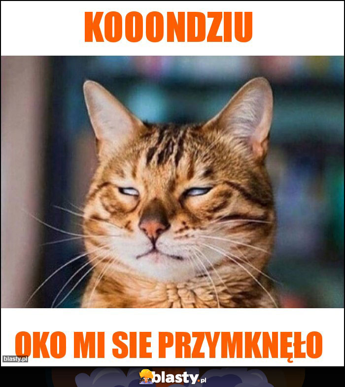 Kooondziu