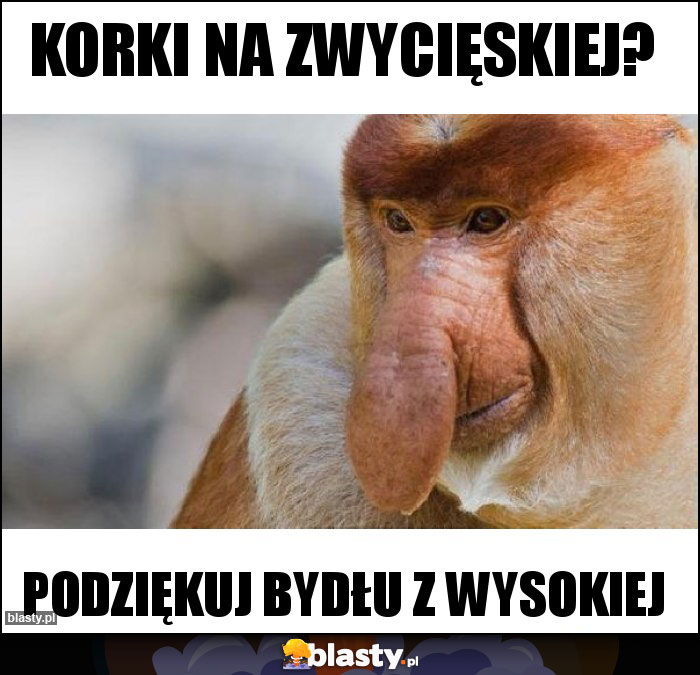 Korki na Zwycięskiej?