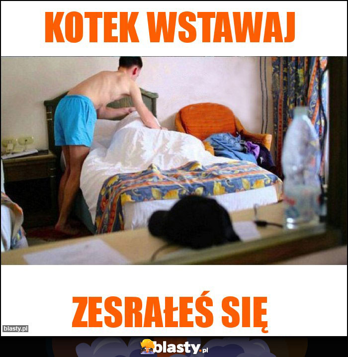 KOTEK WSTAWAJ