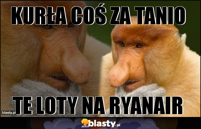 Kurła coś za tanio