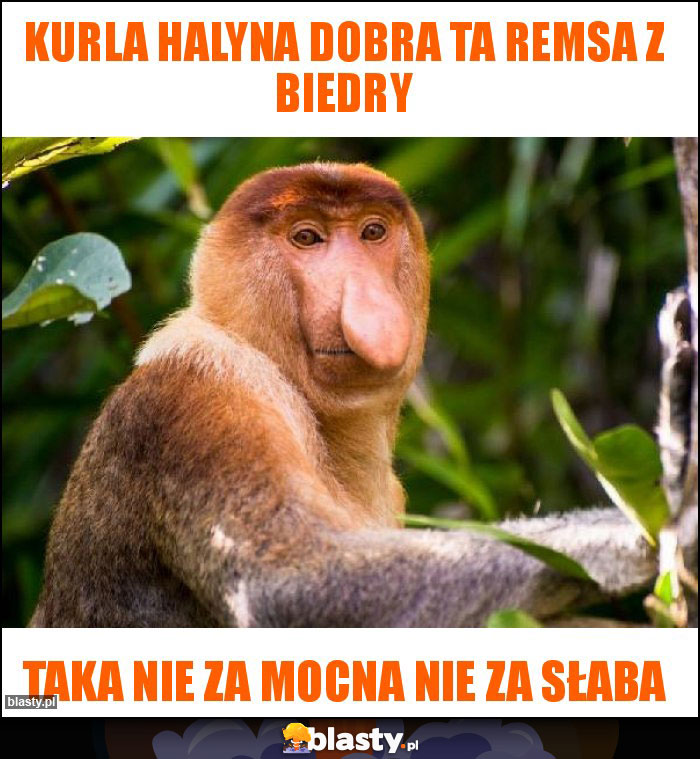 Kurla Halyna dobra ta remsa z biedry