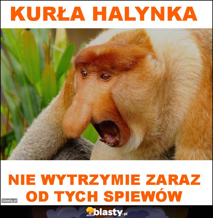 kurła Halynka