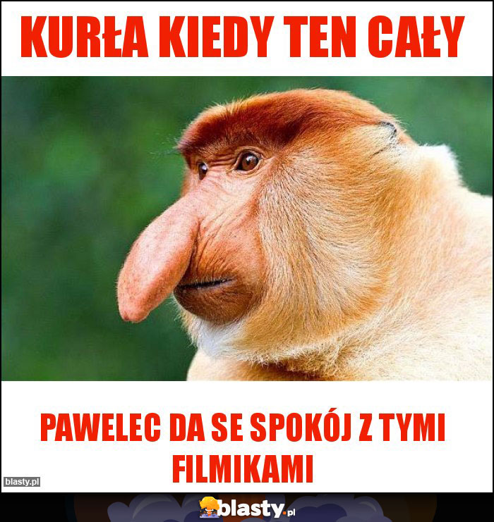 kurła Kiedy ten cały