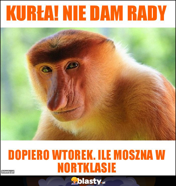 Kurła! Nie Dam rady