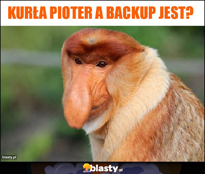 Kurła Pioter a backup jest?